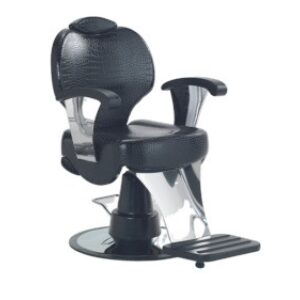 Barber chair art - lunaire